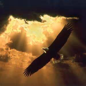 Rays of Wisdom - The Universal Christ Now Speaks To Us And Our World - Flying On Eagle's Wings