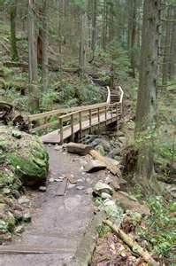 Wooden Bridge - Rays of Wisdom - Relationship Healing - Building Bridges