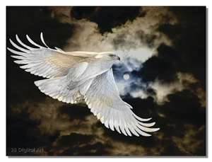 White Eagle - On Eagle's Wings - Rays of Wilsdom - Astrology on the Healing Journey
