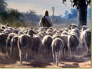 Rays Of Wisdom - War And Peace Among Nations - The Good Shepherd